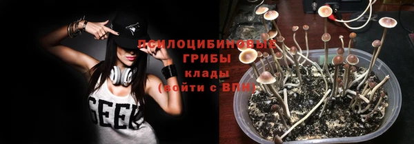 a pvp Арсеньев