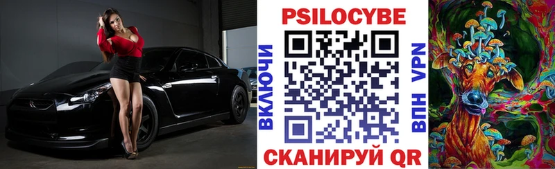 Купить где Верхняя Пышма Галлюциногенные грибы GOLDEN TEACHER